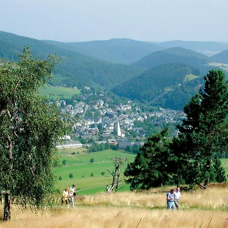 Hammerhuette * Willingen (Upland)